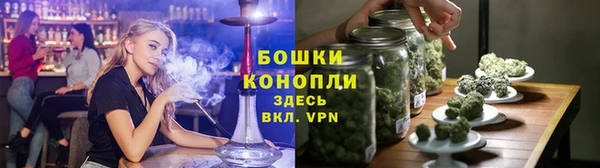 apvp Инта