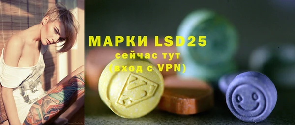 apvp Инта