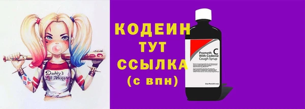 apvp Инта
