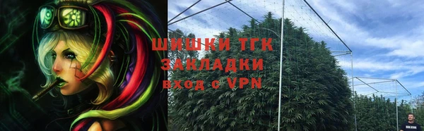 дмт Иннополис