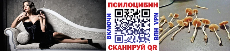 MEGA зеркало  Первоуральск  Псилоцибиновые грибы мухоморы 